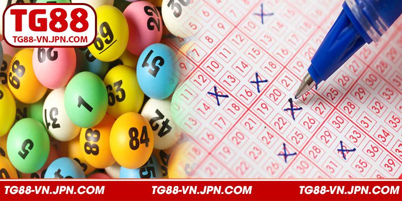 Đánh xiên hai mang về lợi nhuận cao