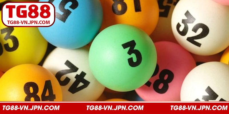 Lắng nghe những lời khuyên từ các lão làng