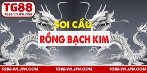Rồng Bạch Kim - Chiến Thuật Soi Cầu Đỉnh Cao Nhất Tại TG88